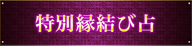 特別縁結び占