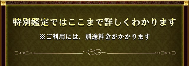 特別鑑定ではここまで詳しくわかります　※ご利用には、別途料金がかかります
