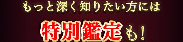 もっと深く知りたい方には特別鑑定も！